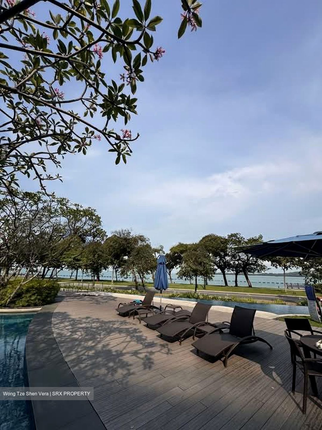 The Coast at Sentosa Cove (D4), Condominium #560568911